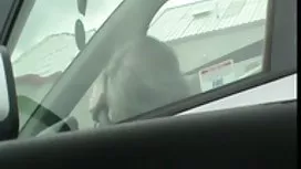 他离开了监狱，他做的第一件事就是留下妓女