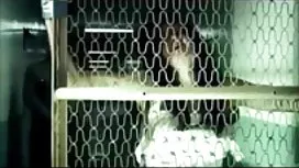 丹尼D已经被困在健身房，有什么好的荡妇