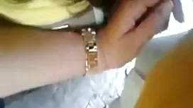 绿狗