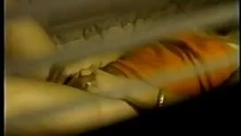 娇小的公鸡