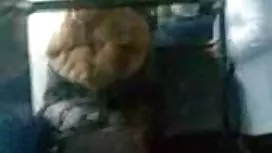 与学校的校友重聚多少